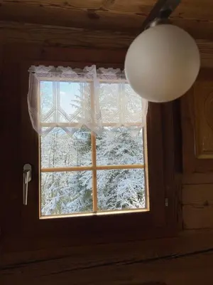 Alter Lärch im Winter