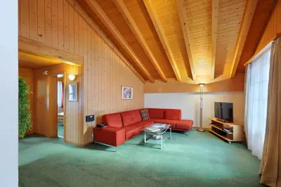 TV/Unterhaltungsangebot in der Unterkunft Serviced Apartments – Kirchbühl@home