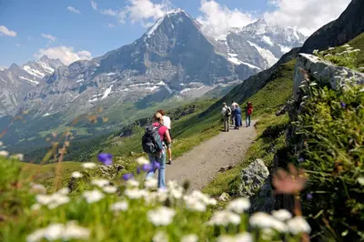 Naturlandschaft in der Nähe der Ferienwohnung