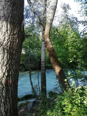 Naturlandschaft in der Nähe des Bed & Breakfasts
