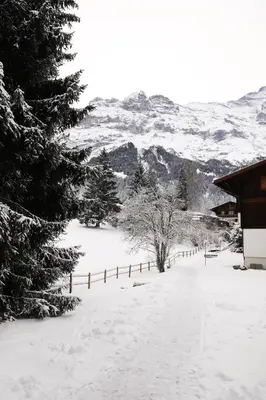 Brand New, 5min to Ski PARADISE ! im Winter