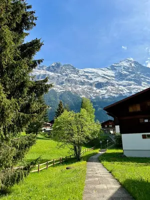 Naturlandschaft in der Nähe der Ferienwohnung