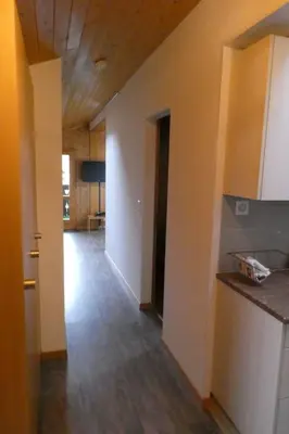 Küche/Küchenzeile in der Unterkunft Apartment Chalet Waldchutz - Wohnung Anax by Interhome