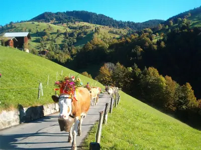 Naturlandschaft in der Nähe der Ferienwohnung