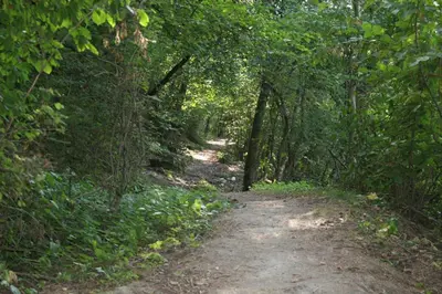 Naturlandschaft in der Nähe des Bed & Breakfasts