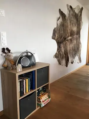 Die Bibliothek in der Ferienwohnung