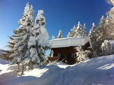 Chalet Tannenduft im Winter
