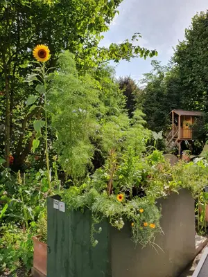 Ein Garten an der Unterkunft Zentral gelegene Wohnung mit grossem Garten