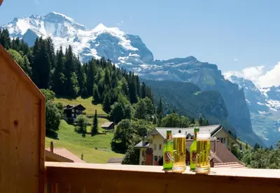 Naturlandschaft in der Nähe der Ferienwohnung