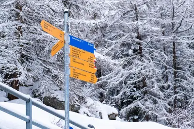 Panorama at Haus Waldheim! Nr 12 im Winter