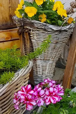 Ein Garten an der Unterkunft Appartement Lehnbach