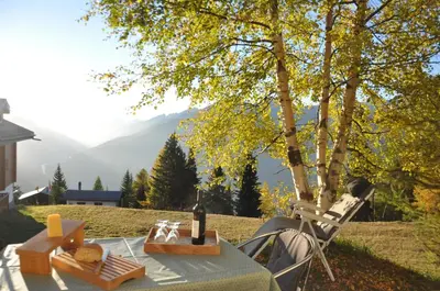 Naturlandschaft in der Nähe der Ferienwohnung