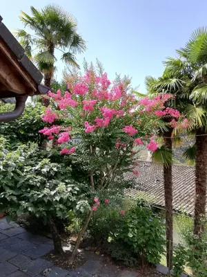 Ein Garten an der Unterkunft Rustico la Stalla