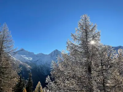 Naturlandschaft in der Nähe der Ferienwohnung