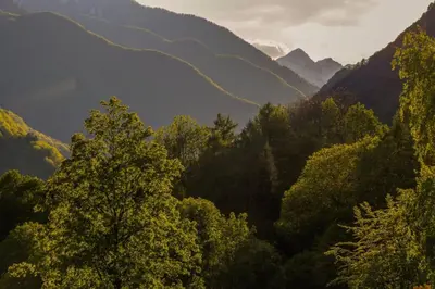 Naturlandschaft in der Nähe des Ferienhauses