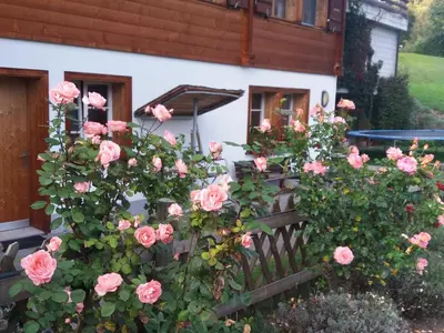 Ein Garten an der Unterkunft Chalet uf em Stutz 2