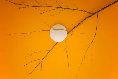 Grundriss der Unterkunft Villa Edera Exclusive Rental