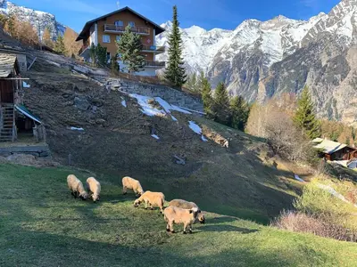 Naturlandschaft in der Nähe der Ferienwohnung