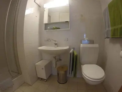 Ein Badezimmer in der Unterkunft Apartment Swiss Chalet