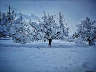 Brunnematta im Winter