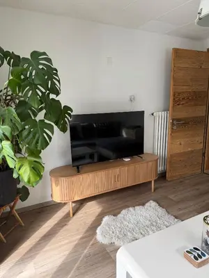 TV/Unterhaltungsangebot in der Unterkunft Apartment Cristal