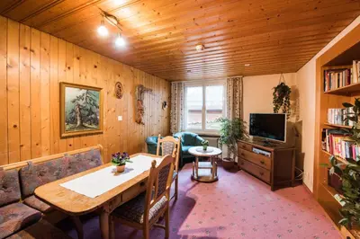 TV/Unterhaltungsangebot in der Unterkunft Hotel Brienzerburli