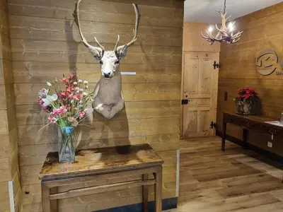 Grundriss der Unterkunft Hotel Bernerhof Grindelwald