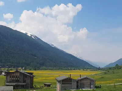 Naturlandschaft in der Nähe der Ferienwohnung
