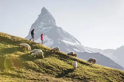 Naturlandschaft in der Nähe des Chalets