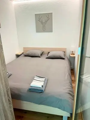 Ein Bett oder Betten in einem Zimmer der Unterkunft Charmant petit appartement à Grimentz au pied des pistes