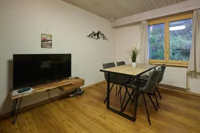 TV/Unterhaltungsangebot in der Unterkunft Charmant petit appartement à Grimentz au pied des pistes