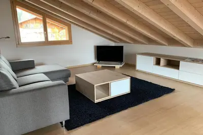 TV/Unterhaltungsangebot in der Unterkunft Région de GSTAAD, charmant chalet duplex de 80m2