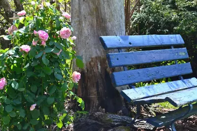 Ein Garten an der Unterkunft Blümlisalp