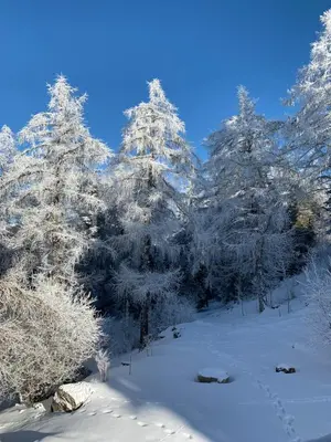 Scierie A Meya 118 im Winter