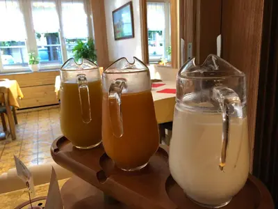 Grundriss der Unterkunft Post Hardermannli