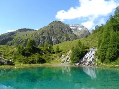 Naturlandschaft in der Nähe der Ferienwohnung