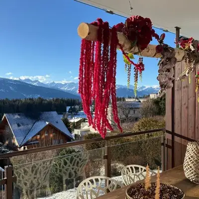 Window on Crans Montana