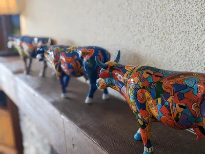 Tiere in der Ferienwohnung oder in der Nähe