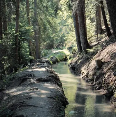 Naturlandschaft in der Nähe des Aparthotels