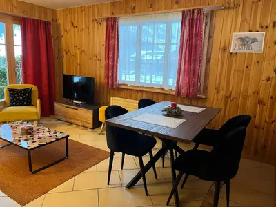 TV/Unterhaltungsangebot in der Unterkunft L'Hérensarde, bel appartement avec jardin-terrasse et garage