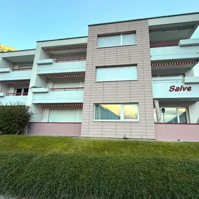 Salve 8