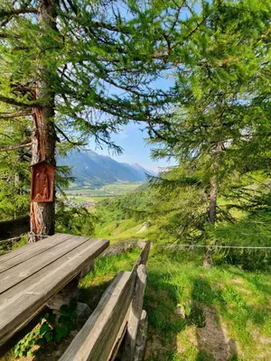 Naturlandschaft in der Nähe der Ferienwohnung