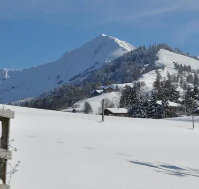 Grundriss der Unterkunft Ruhe pur