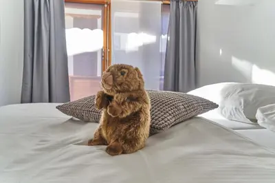 Ein Bett oder Betten in einem Zimmer der Unterkunft Hotel Marmotte
