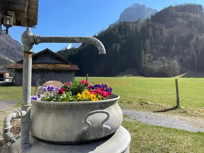 Ein allgemeiner Bergblick oder ein Berglick von des Bauernhofs aus
