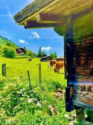 Naturlandschaft in der Nähe der Ferienwohnung