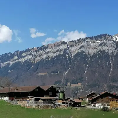 Brunners harzerhof