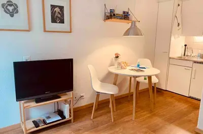 TV/Unterhaltungsangebot in der Unterkunft Studio im modernen Alpenstyle