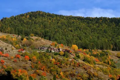 Naturlandschaft in der Nähe des Ferienhauses
