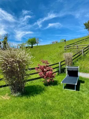 Ein Garten an der Unterkunft Panorama Boutique Apartment with Air Condition, SPA entry in Solbadhotel